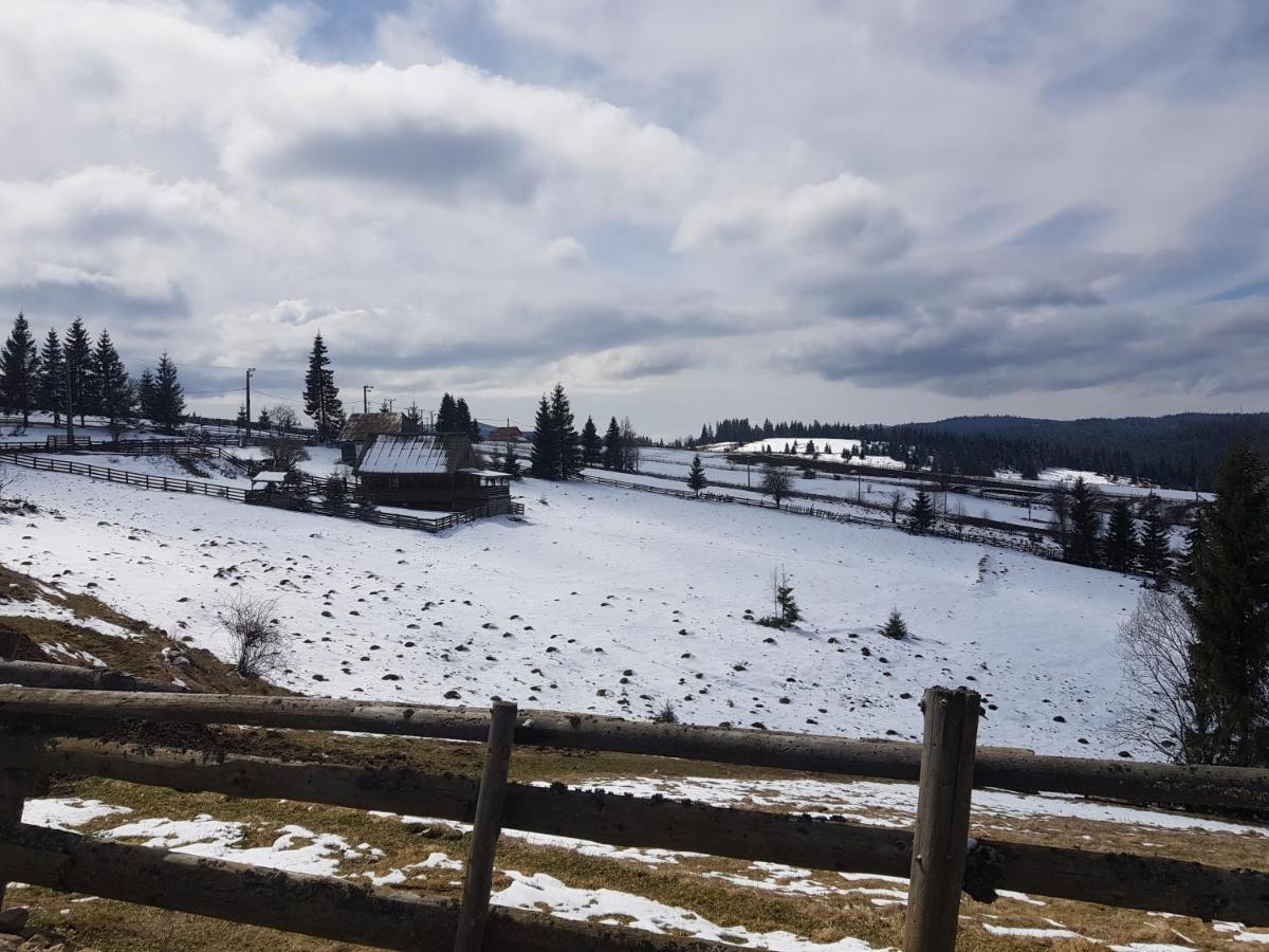 Casuta De Vacanta Marisel, Cluj Dış mekan fotoğraf