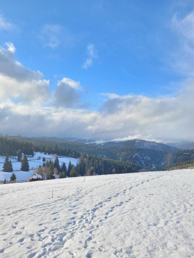 Casuta De Vacanta Marisel, Cluj Dış mekan fotoğraf