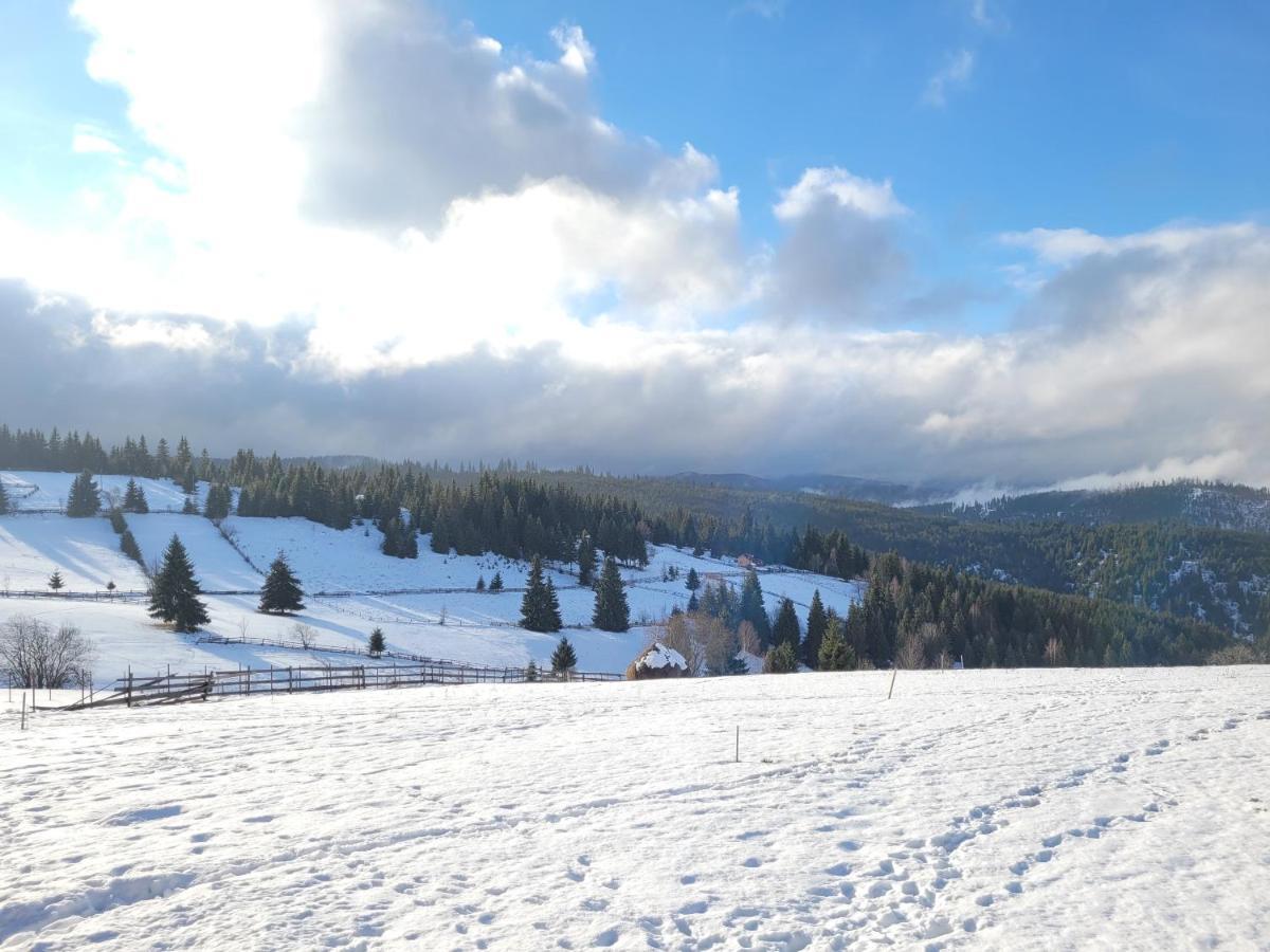 Casuta De Vacanta Marisel, Cluj Dış mekan fotoğraf