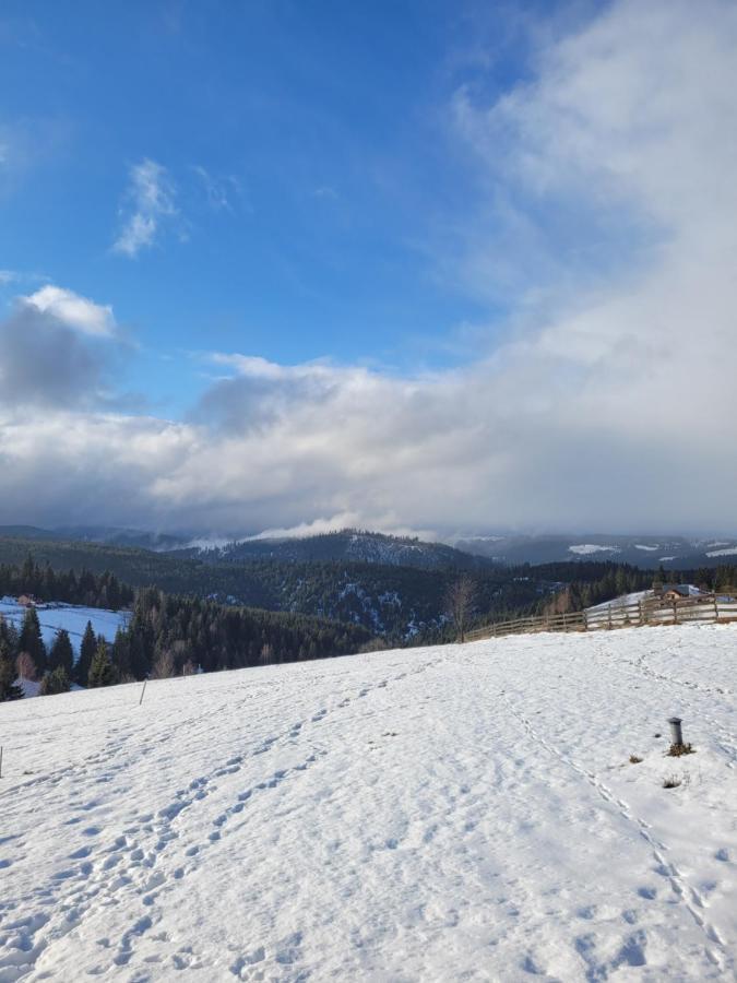 Casuta De Vacanta Marisel, Cluj Dış mekan fotoğraf