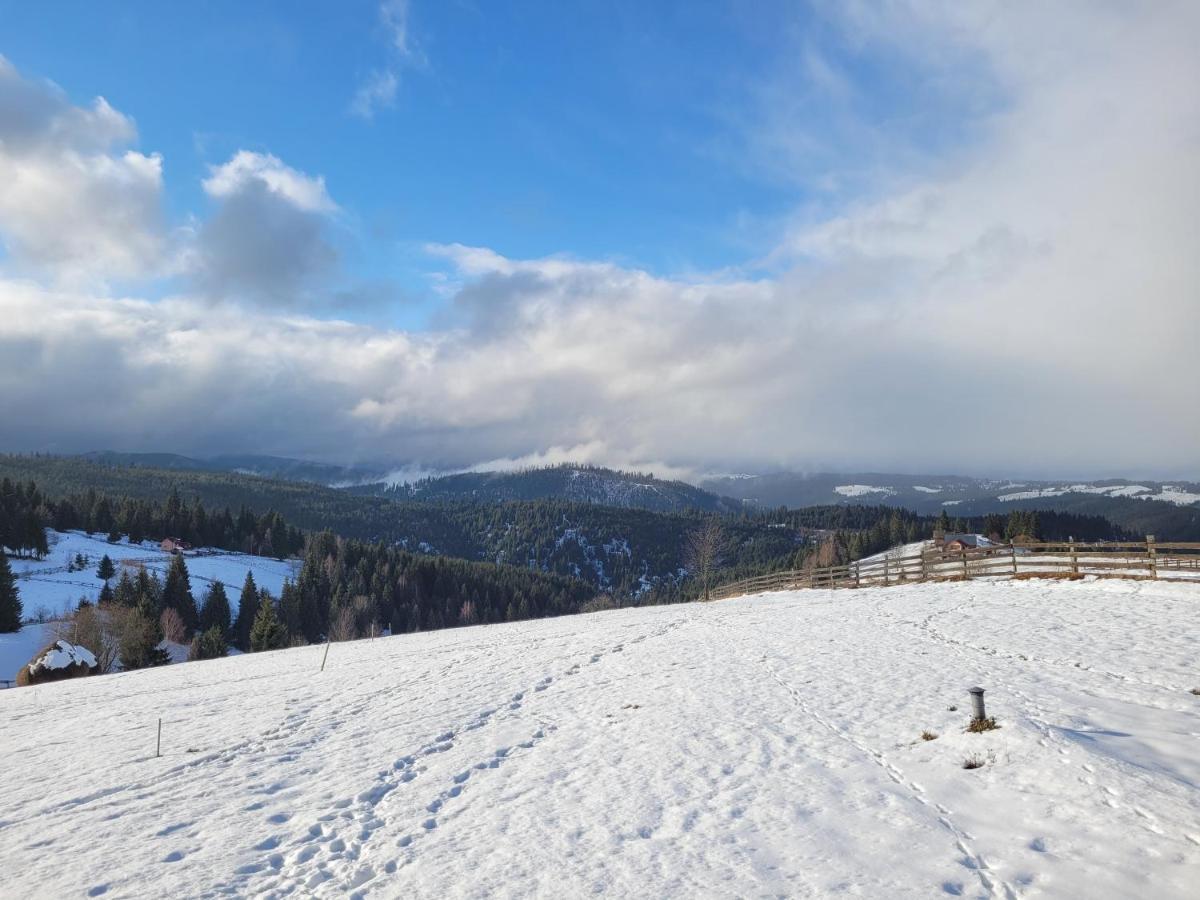Casuta De Vacanta Marisel, Cluj Dış mekan fotoğraf